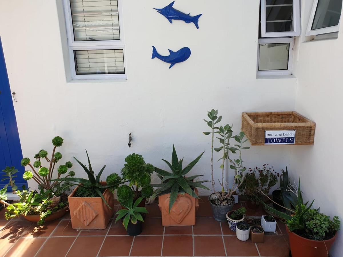 Bluesky Arniston Guest House Exterior photo